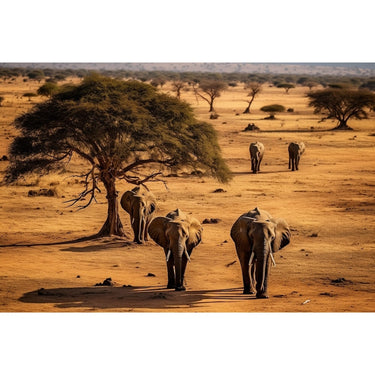 Elephant Herd Canvas
